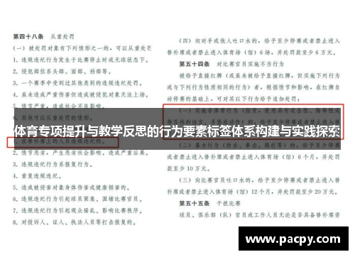 体育专项提升与教学反思的行为要素标签体系构建与实践探索