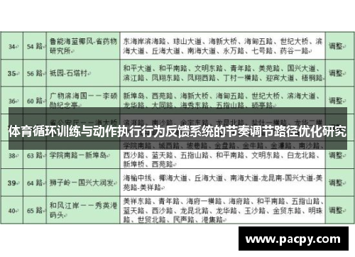 体育循环训练与动作执行行为反馈系统的节奏调节路径优化研究